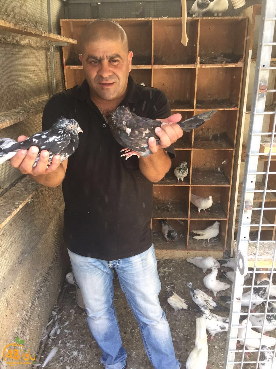 zohdy 3ashor (3).jpg